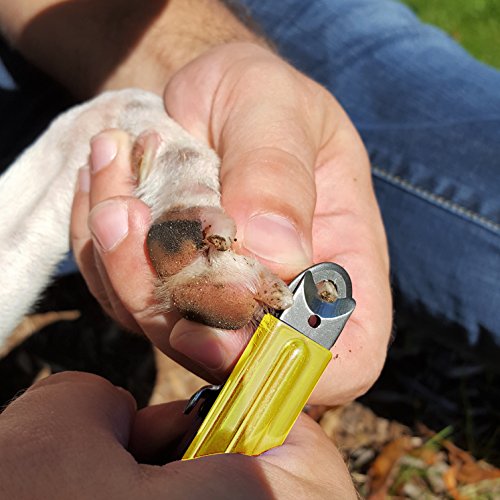Resco Deluxe Dog Nail Clippers for Large Dogs - Professional USA-Made Guillotine Trimmer - Heavy Duty Steel, Yellow - size: Large Clipper