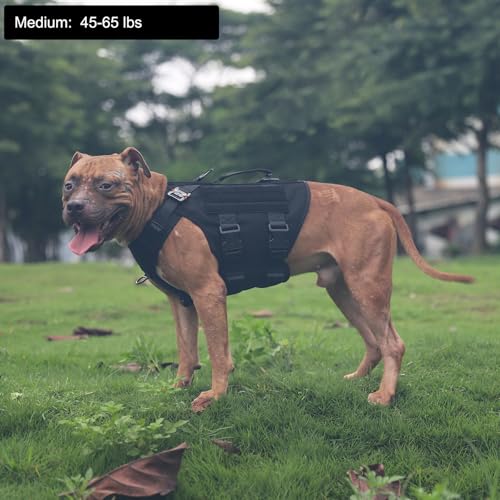 ICEFANG GN3 Tactical Dog Harness with 6X Buckle,Dog Molle Vest with Handle,3/4 Body Coverage,Hook and Loop Panel for ID Patch,No Pulling Front Clip (M (25"-31" Girth), Black) - color: Black, size: Medium (Pack of 1)