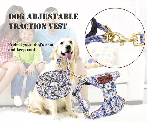 OaaXbbECco No Pull Floral Pattern Puppy Harness,Soft Adjustable Dog Harness Vest and Dog Leash Set No Choke Escape Proof (Purple Daisy, XS) - color: Purple Daisy, size: XS