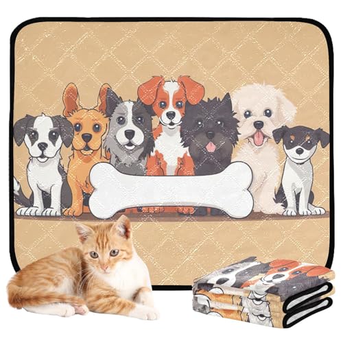 Qilmy Dog Pet Mat, Waterproof Reusable Dog Training Pad Anti-Slip Pet Creat Pad for Small Medium Large Dogs and Cats - size: Smallx3