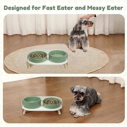 Elevated Slow Feeder Dog Bowls - Ceramic Food and Water Bowl Set with Stand - Raised Pet Dishes for Small and Medium Sized Dogs - color: Green