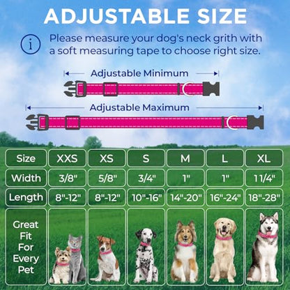 TECEUM Reflective Dog Collar – Hot Pink – L – Extra Soft Padding – Basic Nylon Pet Collar – Quick Release Buckle – Fits Small, Medium and Large Dogs, Puppies, Cats – ESA & Service Dog Options - color: Hot Pink, size: Large