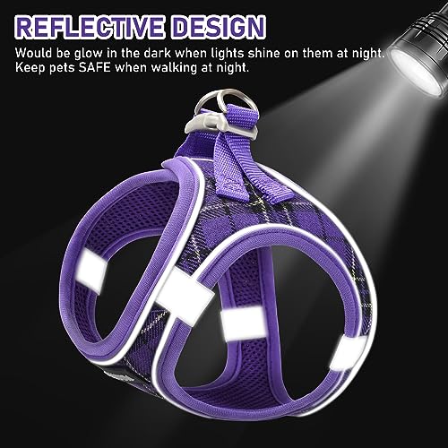 GAMUDA Small Dog Harness Collar and Leash Set, Step in No Chock No Pull Soft Mesh Adjustable Dog Vest Harnesses Plaid Reflective for Dogs Puppy Cats Kitten Rabbit (Purple, XXS) - color: Purple, size: XXS