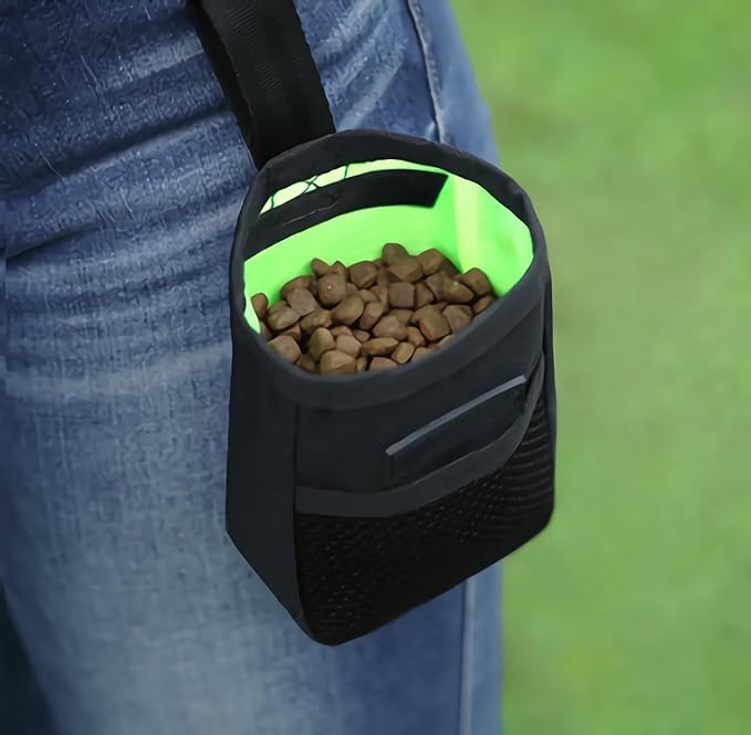 Dog Training Treat Pouch Small Portable Dog Treat Pouch Bag with Clip Pet Bait Snack Reward Puppy Training Container Food Treat Feeding Holder Mini Dog Treat Tote Waist Bag for Pet Training Walking - color: Black