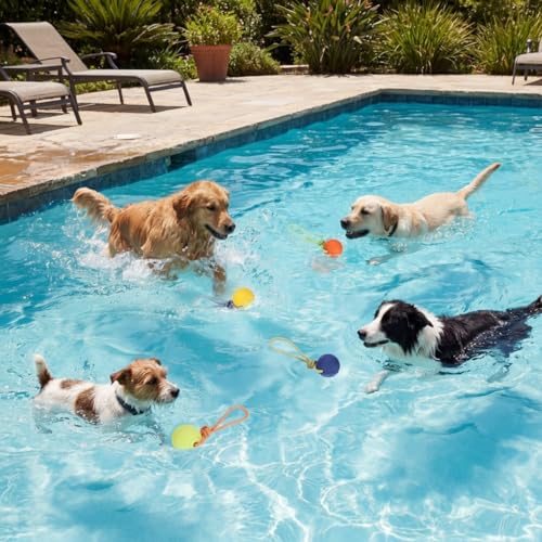 Skylety 4 Pack Floating Dog Toy with Rope Handle EVA Dog Bumper Throw Stick for Water Training Fetch Retrieving High Visibility Pool Water Toy for Beach Diving Pool Yard Summer Outdoor Play, Ball - style: Ball