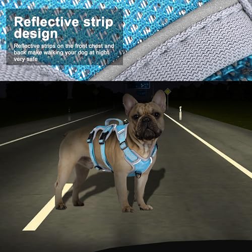 Beirui Escape Proof Dog Harness, No Pull Dog Harness,Reflective Dog Harness with Handle, Breathable,Durable, Adjustable Vest for Medium Dogs Outdoor Walking(Blue,Chest 19-25")