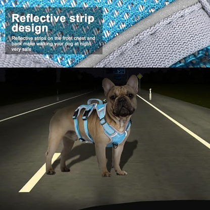 Beirui Escape Proof Dog Harness, No Pull Dog Harness,Reflective Dog Harness with Handle, Breathable,Durable, Adjustable Vest for Medium Dogs Outdoor Walking(Blue,Chest 19-25")