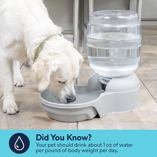 Petmate Aspen Pet Lebistro Cat and Dog Water Dispenser, Made in USA - color: Bleached Linen