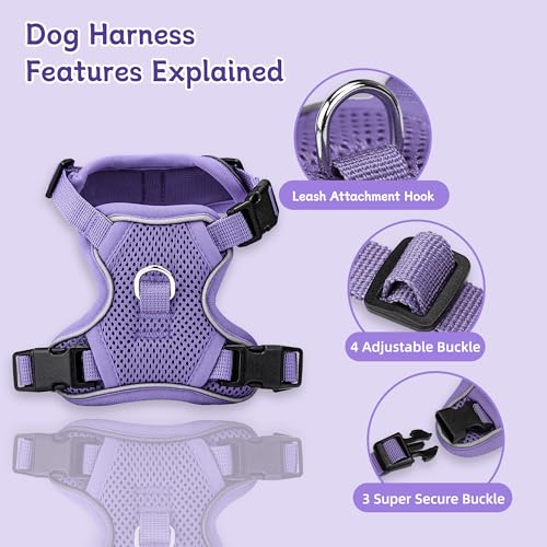 Small Dog Harness and Leash Set, Reflective Soft Breathable Mesh Vest, 3 Buckles, Adjustable Neck and Chest,Step in Dog Harness for Walking, Running, Training, Purple, S - color: Purple, size: Small