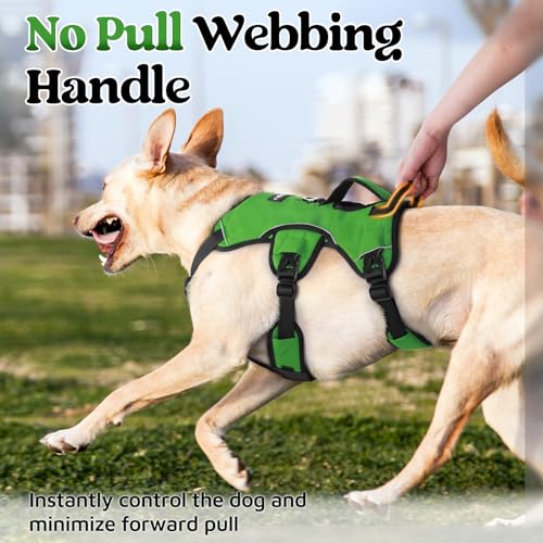rabbitgoo Escape Proof Dog Harness, Soft Padded Full Body Pet Harness, Reflective Adjustable No Pull Vest with Lift Handle and Lesh Clip for Large Dogs Walking Hiking Training, M, Green - color: Green, size: Medium (Pack of 1)