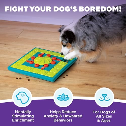 Outward Hound by Nina Ottosson MultiPuzzle – Interactive Dog Treat Puzzle Enrichment Toy, Level 4 Expert - color: Multipuzzle (Green)