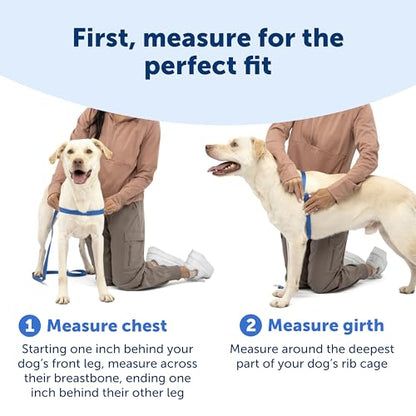 PetSafe Easy Walk Deluxe Dog Harness, No Pull Dog Harness – Perfect for Leash & Harness Training – Stops Pets from Pulling and Choking on Walks – Large, Steel - color: Steel, size: Large (Pack of 1)