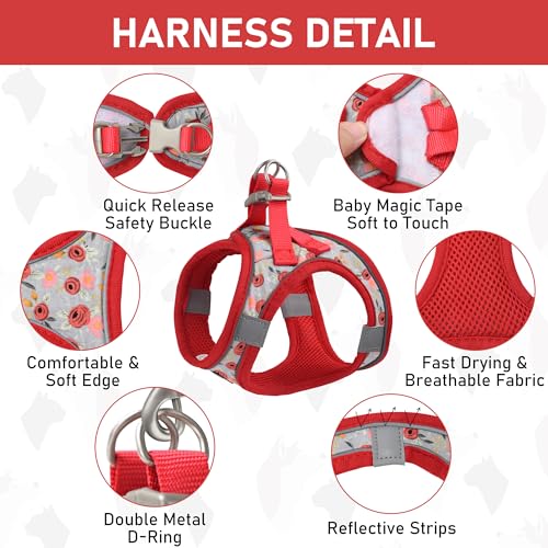 GAMUDA Small Dog Harness Collar and Leash Set, Step in No Chock No Pull Soft Mesh Adjustable Dog Vest Harnesses Plaid Reflective for Dogs Puppy Cats Kitten Rabbit (Red Flower, XXS) - color: Red Flower, size: XXS
