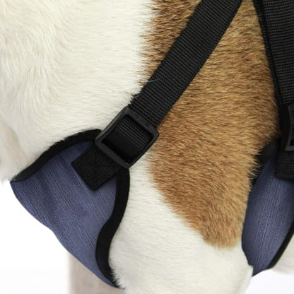 AKC Striped Step-in Dog Harness – No Pull Adjustable Vest with Dual D-Rings, Easy On/Off – Small, Medium & Large Sizes in Black, Gray, Navy & Red - color: Navy, size: Large