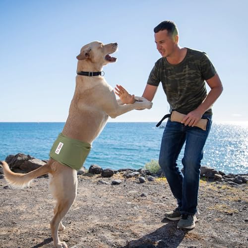 Male Dogs Diapers, Washable Reusable High Absorbing Boy Belly Bands Doggy Wraps Panties Doggie Puppy Pooping Potty Training Incontinence Marking Middle(5 Pack) - color: Plain, size: Medium (15"-17")