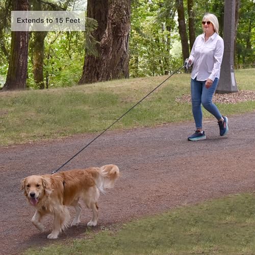 Hounds & Pups Retractable Dog Leash, 15 ft Length, LED Light for Night Walks (Blue) - color: blue