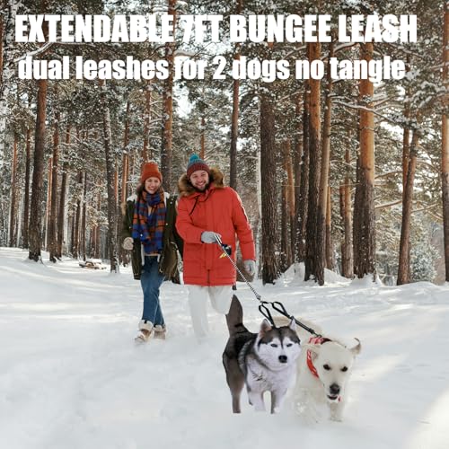 Double Dog Leash - Hands Free Dog Leash Crossbody & Waist for Dog Walking - Tangle-Free Bungee & Padded Handles for Medium & Large Dogs, Black