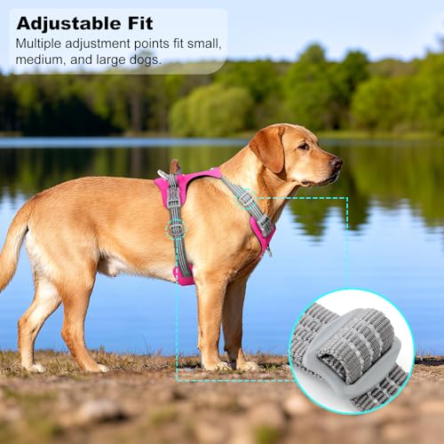 No Pull Dog Harness – Adjustable Reflective Nylon Vest for Small Medium Large Dogs, Escape Proof Training Harness with Leather Control Handle, Lightweight Aluminum Hardware (Hot Pink, S) - color: Hot Pink, size: S