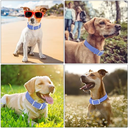 Wisedog Small Puppy Collar, XS 7"-10" × 1/2", Blue | Soft Rubber Coated Webbing, Cute Pet Design, For Small Dogs Cats - color: Blue