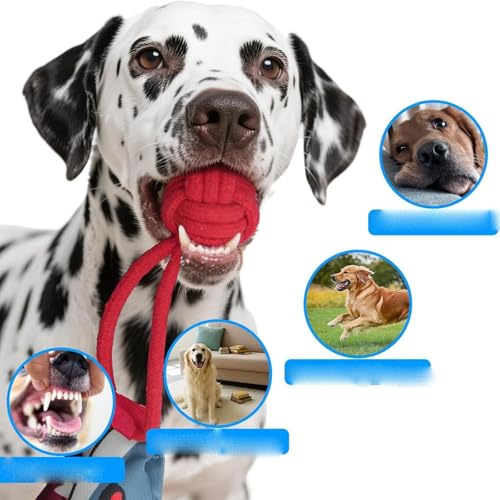 Shark Tug of War Dog Toy, 2026 New Squeaky Dog Tug Toy, Interactive Shark DogToys, Sharks Dog Tug Toy with Squeaker & Rope Knot, for Medium to Large Dogs (Eagle) - color: Eagle