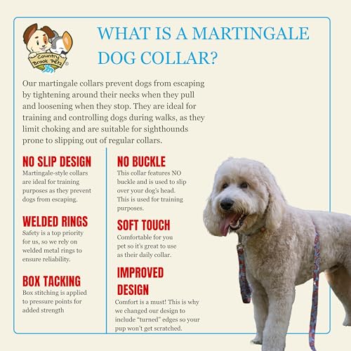 Country Brook Petz - HossFit Jr Wide Martingale Dog Collar - Groovy Collection Featuring Far Out Designs (Sky Mandala, Medium) - color: Sky Mandala, size: Medium (Pack of 1)