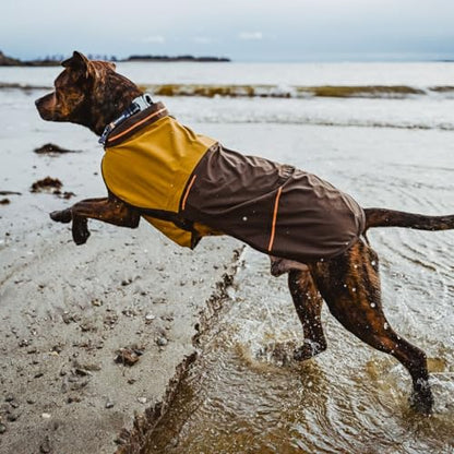 Ruffwear, Sun Shower Dog Raincoat, All-Weather Jacket, Waterproof, Windproof & Lightweight, Midnight Blue, Medium - color: Midnight Blue, size: Medium