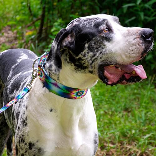 Country Brook Petz - HossFit Jr Wide Martingale Dog Collar - Groovy Collection Featuring Far Out Designs (Tie Dye Flowers, Medium) - color: Tie Dye Flowers, size: Medium (Pack of 1)