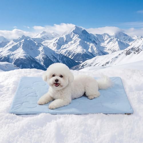 ZOMISIA Cooling Blanket for Small Dogs - Washable Cat Cooling Mat for Hot Weather, Travel Soft Pet Summer Essentials, Blue, 25"x35" - color: Blue, size: S(25x35")