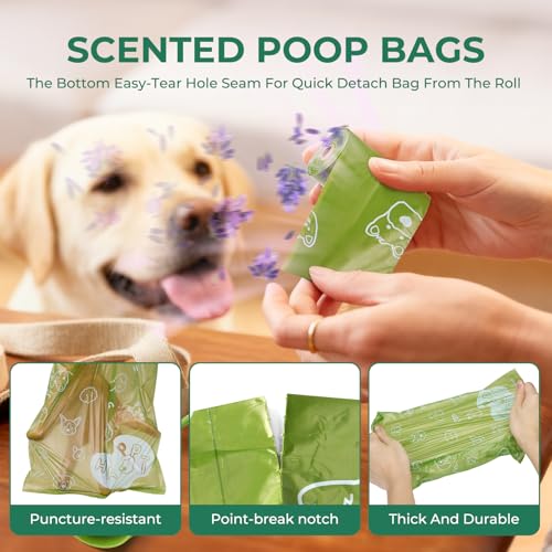 Dyforce Dog Poop Bags Rolls with Dispenser, 600 Count Value Pack Extra Thick Strong Leak Proof Poop Bags for Dogs Doggy with Holder, Scented Pet Waste Cat Litter Bags 9x13" Bulk, Green - color: Green