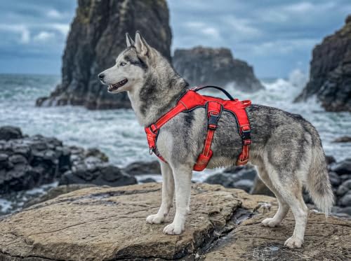Tuff Pupper Escape Proof No Escape Dog Harness | 5 Point Adjustable Fit Harness for Dogs | Padded Dog Harnesses | Handle Dog Lift Harnesses - color: March Red, size: Medium: 22-27 Inch Chest