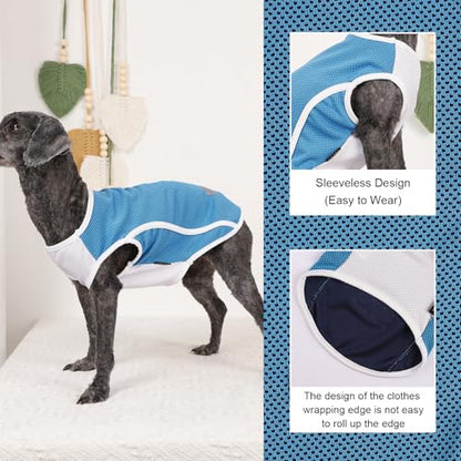 2 Pack Dog Clothes,Dog Shirts for Small Dogs,Quick Dry Dog Vest Boy Girl Summer, Puppy T-Shirt with Reflective Strip,Sun Protection Sleeveless Cool Breathable Pet Apparel(Blue and Turquoise, XS) - color: Blue and Turquoise, size: X-Small (Chest 12.2 in)