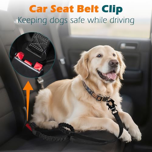 PetBonus Heavy Duty Tactical Dog Leash, 5 FT Bungee Shock Absorption Leash with 2 Padded Handles, Quick Release Metal Clip, Car Seatbelt, No Pull Training Lead for Large Medium Dogs (Black) - color: Black