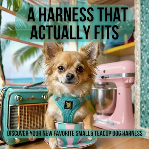EcoBark Premium Teacup Dog Harness - Luxury Soft Tiny and Toy Breed Harness for Puppy - Mini Step in Vest Body Halter Under 5 lbs (XXXS, Mint) - color: Mint Turquoise, size: XXXS- 2 to 3 lbs- Chest up to 10 in (Pack of 1)