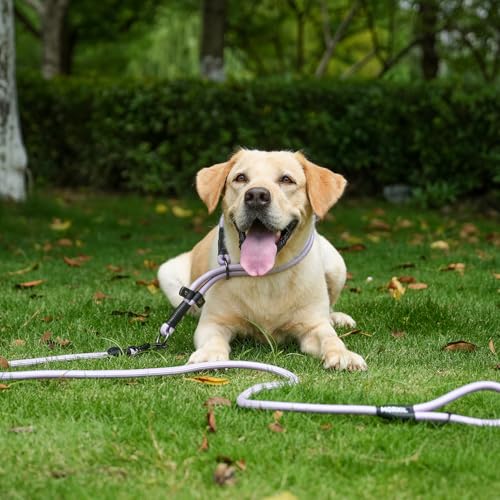 Rope Dog Leash, 6 Foot Heavy Duty Dog Leash with Aviation Aluminum Auto Locking Carabiner, Strong Nylon Pet Lead for Small, Medium, Large Dogs (Brown, 6FT) - color: Brown, size: 6 Foot Single Handle