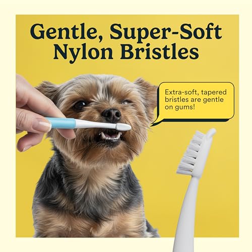 Jasper Microbrush Vet Approved Cat Toothbrush, Soft-Bristled Toothbrush Kit for Felines & Small Dogs, Non-Slip Handle with 2 Replaceable Tooth Brush Heads, Use with Cat Toothpaste, 2-Pack, Rose Pink - color: Rose Pink 2 Pack