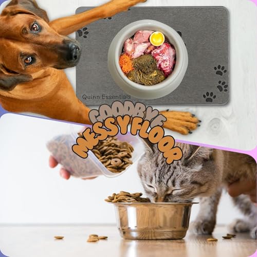 Quinn Essentials Dog Water & Feeding Mat Fast-Dry Diatomaceous Stone Tray for Bowls, Anti-Slip, Spill Control, Cleaner Area, Cat Feeding Tray, Travel Pet Mat