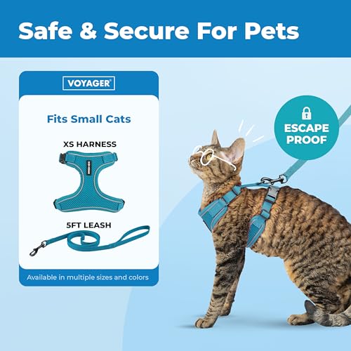 Voyager Escape-Proof Step-in Lock Cat Harness & 5ft Neoprene-Handle Leash Set All-Weather Mesh with Reflective Stitching for Small to Large Cats by Best Pet Supplies, Turquoise (327), XS - color: Turquoise (327), size: XS (Chest: 13 - 16")
