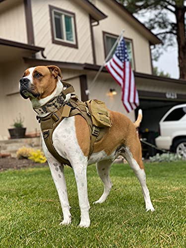 Tactical Dog Collar with Handle - Military Adjustable Dog Training Collar Soft Nylon and Heavy Duty Metal Buckle for Medium Large Dogs - with Patch (Camo with Patch, Medium) - color: Camo with Patch, size: Medium