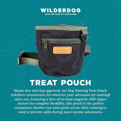 Wilderdog Dog Training Treat Pouch with Magnetic and Zipper Closure, Carabiner Attached, Adjustable Waist Strap - Black - color: Black