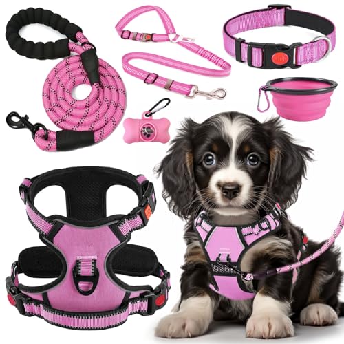 LOBEVE No Pull Dog Harness, Collar & Leash Set | Includes Dog Seat Belt, Collapsible Bowls & Poop Bag Dispenser. Ideal for Training, Walking, Hiking. Fits Small to Large Dogs(Pink-M) - color: Pink, size: Medium
