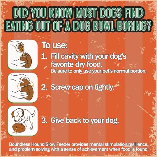Food Puzzle Feeder for Large or Medium Dogs, 5C | Mentally Stimulating Enrichment Toy, Made in USA, BPA-Free Durable Foraging Toy, Reduces Anxiety and Destructive Behavior
