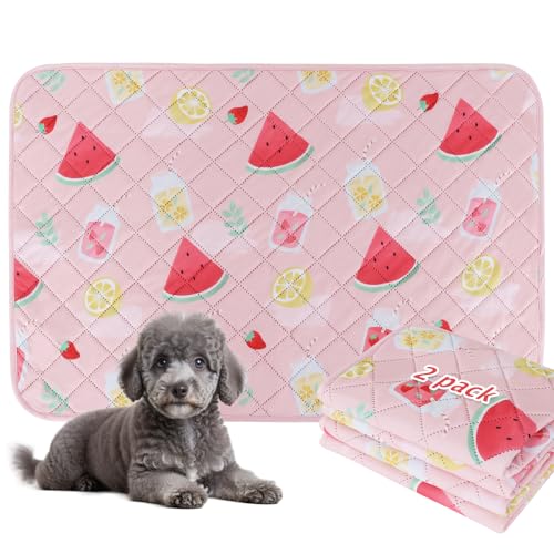 BVAGSS Washable Pee Pads for Dogs, 2 Pack Reusable Leakproof Puppy Wee Wee Pad, Non-Slip Waterproof Pet Training Pads, Super Absorbent Whelping Pads XH081 (Watermelon, 30X20 Inch (Pack of 2)) - color: Watermelon, size: 30X20 Inch (Pack of 2)
