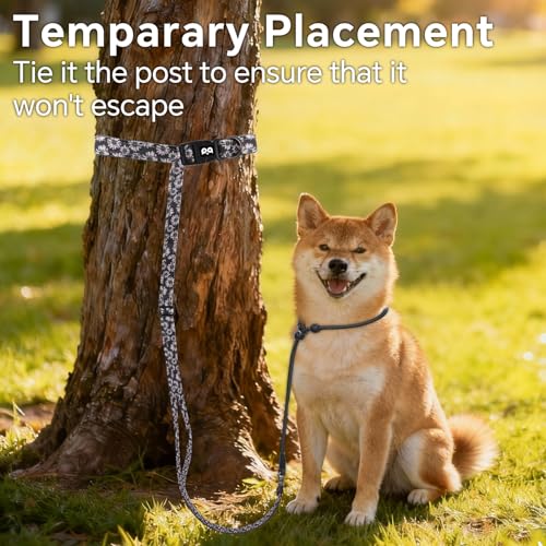 QQPETS Adjustable Slip Lead Dog Leash, Hands Free Waist Leash for Dog Walking, Reflective Training Lead with 360° Swivel Anti-Tangle, 4-7 ft Length for All Breeds - color: White Daisy