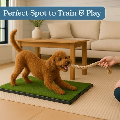 Artificial Grass Puppy Pad with Tray 16x20 inch | Reusable Indoor & Outdoor Dog Potty Training Mat System | Washable Fake Grass Pet Housebreaking Pad for Puppies & Small to Medium Dogs by PETMAKER - size: Small 3-Layer System