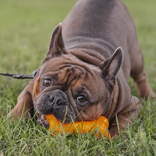 Chew King by Mammoth Bacon Flavor Rubber Bone - color: D) Bone (Bacon)