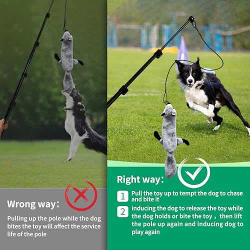 Flirt Pole for Dogs, Interactive Toys Tug-of-war for Dogs, Five-Section Retractable Adjustable Length,for Outdoor Exercise & Training for Small Medium Large Dog - size: 4 switch-59.1Inch