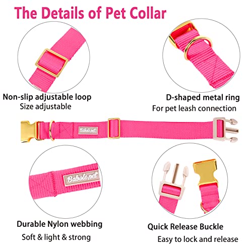 Nylon Dog Collar - Adjustable Rose Red Soft Webbing Dog Collars for Small Medium Large Dogs Boy Girl Puppy Collar with Safety Metal Buckle XS - color: Nylon-Rose Red, size: XS