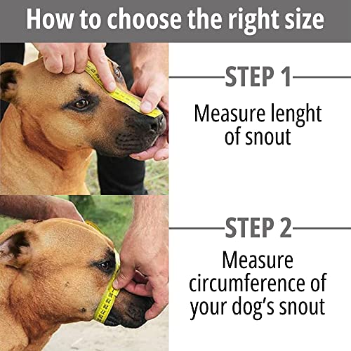 BRONZEDOG Pitbull Dog Muzzle Breathable Metal Basket for Large Dogs Amstaff Staffordshire Terrier Biting Chewing Barking (Leather, Blue) - color: Leather, Blue