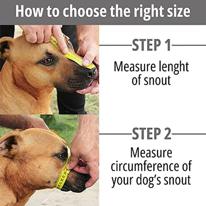 BRONZEDOG Pitbull Dog Muzzle Breathable Metal Basket for Large Dogs Amstaff Staffordshire Terrier Biting Chewing Barking (Leather, Blue) - color: Leather, Blue