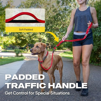 Fida 2-in-1 Slip Leads for Dogs with Double Handles, Tangle Free Leash for Large Dogs That Pull, Heavy Duty No Pull Training Leash Reflective Soft Padded for Large & Medium Breed(6ft,Red) - color: Red